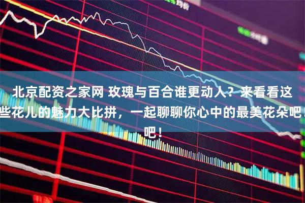 北京配资之家网 玫瑰与百合谁更动人？来看看这些花儿的魅力大比拼，一起聊聊你心中的最美花朵吧！