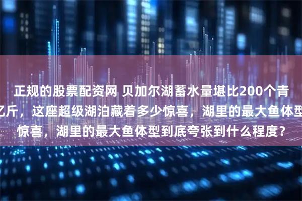 正规的股票配资网 贝加尔湖蓄水量堪比200个青海湖、年出鱼量达30亿斤，这座超级湖泊藏着多少惊喜，湖里的最大鱼体型到底夸张到什么程度？