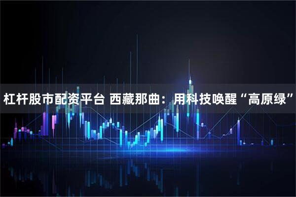 杠杆股市配资平台 西藏那曲：用科技唤醒“高原绿”